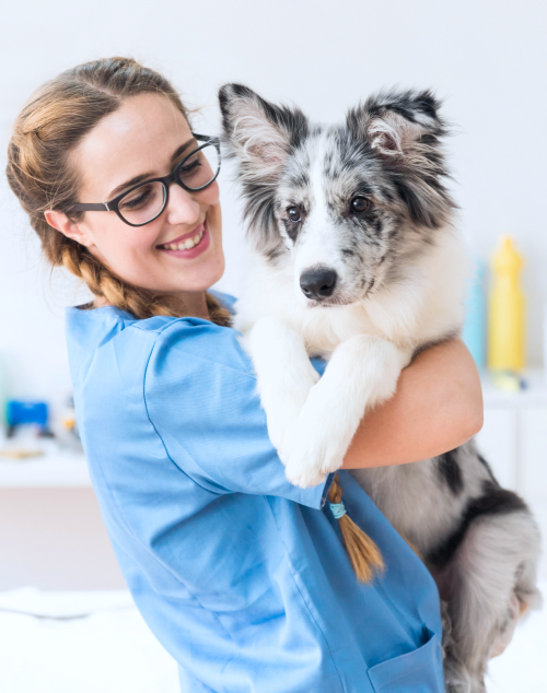 Tutor abraçando o pet com carinho